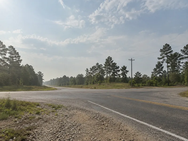 A two-lane road meeting another at a flat junction with pine woodland on both sides