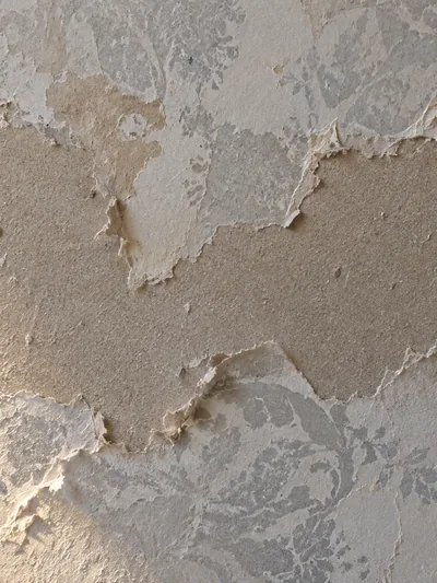 Torn board facing and a film of dried paste left across a stripped wall